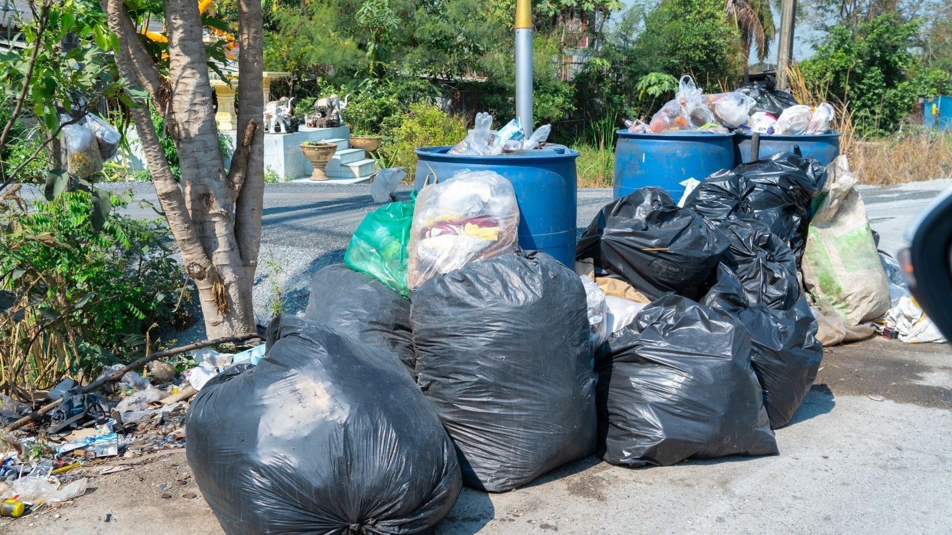 Piles of black and green garbage bags near blue trash bins in littered residential area